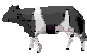 Lvl 8 Cow